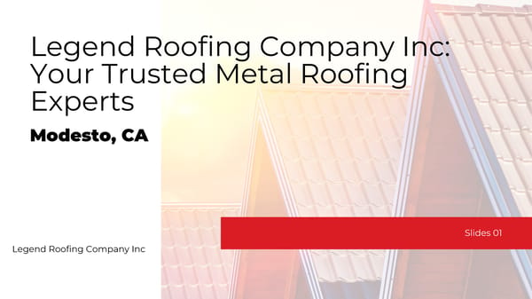 Your Trusted Metal Roofing Experts - Page 1