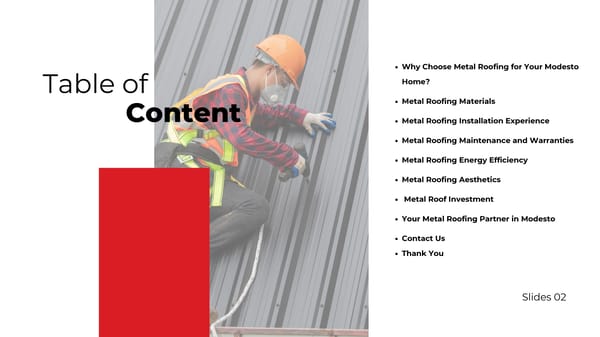 Your Trusted Metal Roofing Experts - Page 2