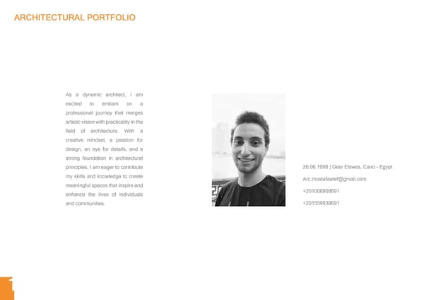 Mostafa Atef Portfolio - Page 2