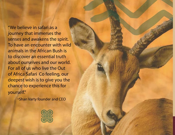 Out of Africa Safari Branding Guidelines - Page 2