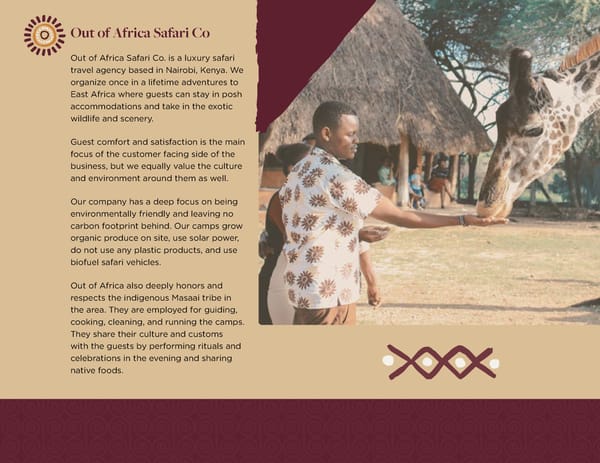 Out of Africa Safari Branding Guidelines - Page 3