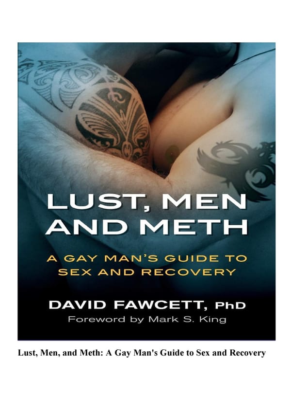  REVIEW Lust Men and Meth A Gay Man s Guide to Sex and Recovery - Page 3