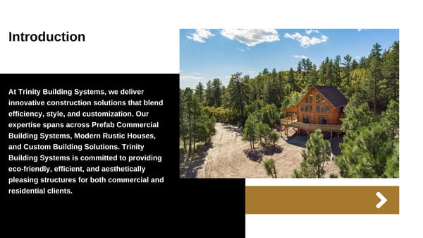 Prefab Commercial Building Systems, Modern Rustic Houses & Custom Building Solutions - Page 2