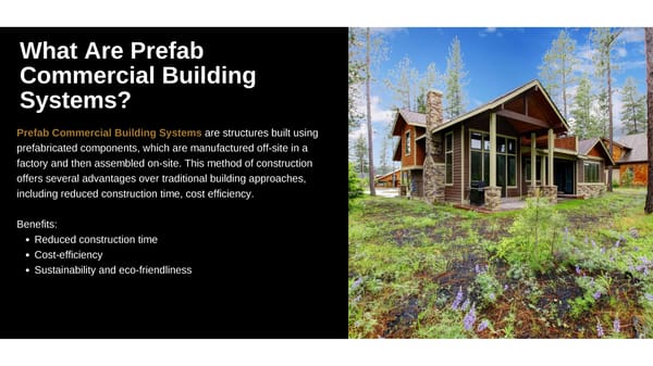 Prefab Commercial Building Systems, Modern Rustic Houses & Custom Building Solutions - Page 3