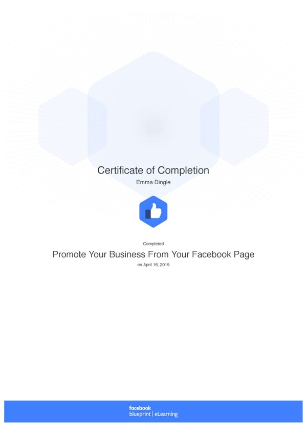 Facebook Blueprint Certificates - Page 24