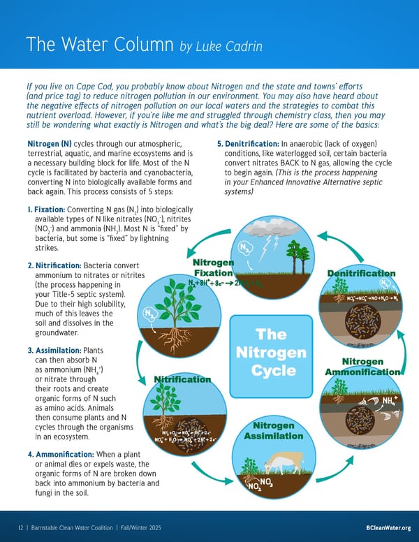 Barnstable Clean Water Coalition Quarterly: Fall/Winter 2025 - Page 12